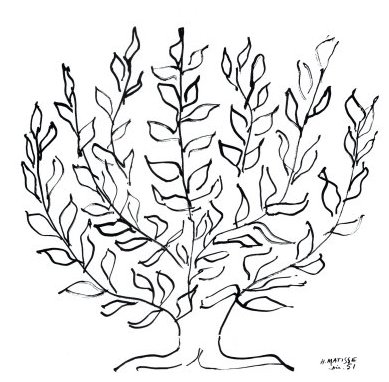 platane.jpg platane.jpg