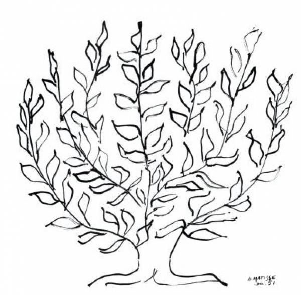 Un platanne, par Matisse Un platanne, par Matisse