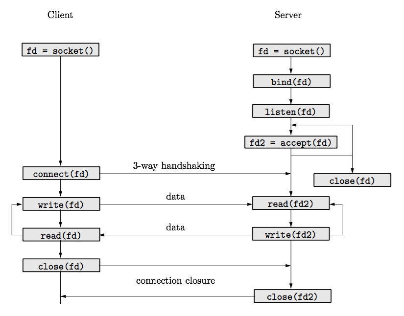 fig/sockets.png